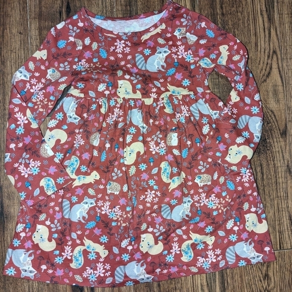 wonder nation Other - Wonder Nation Organic Cotton Long Sleeve 4T Dress